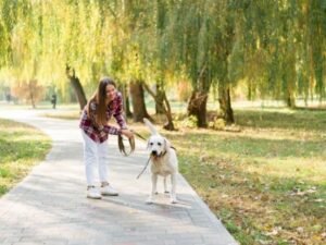 Pet Park